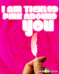 Flirt_tickledpink_web_thumb.gif