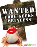 Flirt_wantedfrog_web_thumb.gif