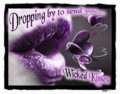 Flirt_wickedkisses_web_thumb.jpg
