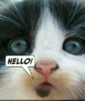 Friend_beardkitten_web_thumb.jpg