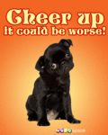 Friend_cheerup3_web_thumb.gif