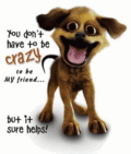 Friend_crazydawg_web_thumb.gif