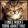 Friend_smilekitty_web_thumb.jpg