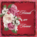 Friends_4everz_web_thumb.gif