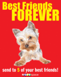 Friends_bffdog_web_thumb.gif