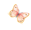 Friends_butterflyweek_web_thumb.gif