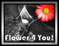 Friends_flower4u_web_thumb.gif