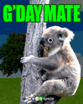 Friends_gdaymate_web_thumb.gif
