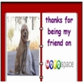 Friends_lizymoco_web_thumb.jpg