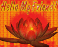 Friends_lotus_web_thumb.gif