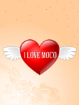 Friends_lovemoco_web_thumb.gif