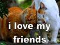 Friends_lovemyfriends_web_thumb.jpg