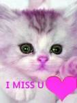 Friends_missukitten_web_thumb.jpg