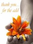Friends_orangelily_web_thumb.jpg