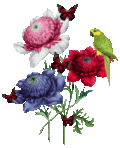 Friends_parrotflowers_web_thumb.gif