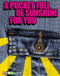 Friends_pocketsunshine_web_thumb.gif