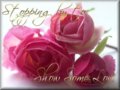 Friends_stoppingbylove_web_thumb.jpg