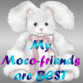 Friends_stuffedbunny_web_thumb.gif