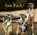 Friends_weaselrock_web_thumb.jpg
