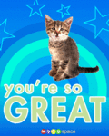 Friends_youresogreat_web_thumb.gif