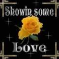 Friendship_yellowrose_web_thumb.jpg