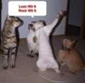 Fun_catdance_web_thumb.jpg