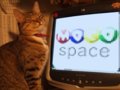 Fun_catlovesmoco_web_thumb.jpg