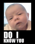 Fun_doiknowu_web_thumb.gif