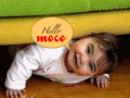 Fun_hellomoco_web_thumb.gif