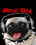 Fun_metaldog_web_thumb.gif