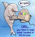 Fun_moco1_web_thumb.jpg