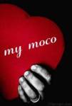Fun_mymoco_web_thumb.jpg