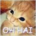 Fun_ohai_web_thumb.jpg