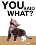 Fun_yousaidwhat_web_thumb.gif