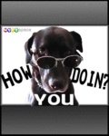 Funny_HowYouDoin_web_thumb.gif