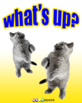 Funny_whatsup2_web_thumb.gif