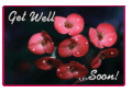 Getwell_begonias_web_thumb.gif