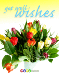Getwell_getwellwishes_web_thumb.gif