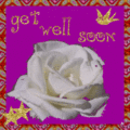 Getwell_groovyrose_web_thumb.gif