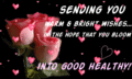 Getwell_healthylexy_web_thumb.gif