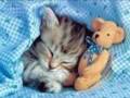 Getwell_kittybear_web_thumb.jpg