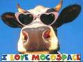 Hey_mococow_web_thumb.jpg
