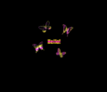 Hey_pinkhello_web_thumb.gif