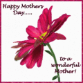Mothersday_redflower_web_thumb.gif