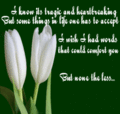 Sympathy_lexytulips_web_thumb.gif