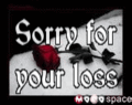 Sympathy_roseloss_web_thumb.gif