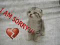Sympathy_sorrykitty_web_thumb.gif