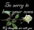 Sympathy_whiterose_web_thumb.jpg