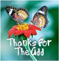 Thanks_12plusadd_web_thumb.jpg