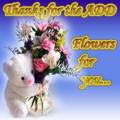 Thanks_addflowers_web_thumb.jpg